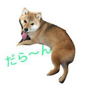 Tsukichan