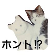 Othello Ohyohaku Pochi