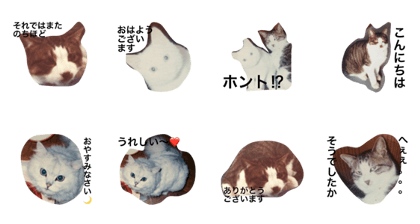 Othello Ohyohaku Pochi