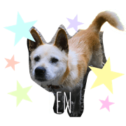 ren stamp.