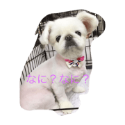 Pekichan
