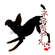 mamepin321*chihuahua&pinscher[nene.ver]