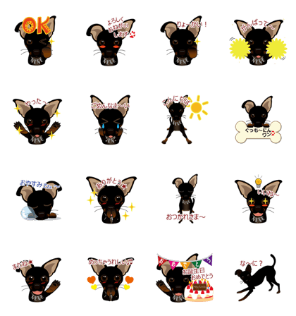 mamepin321*chihuahua&pinscher[nene.ver]