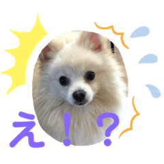 kaori_20210523215215