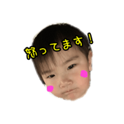 yuto&dogs