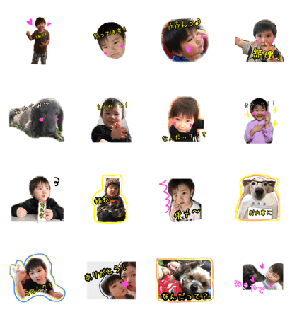yuto&dogs
