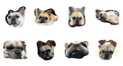 purin's life