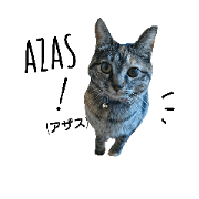 taimiso