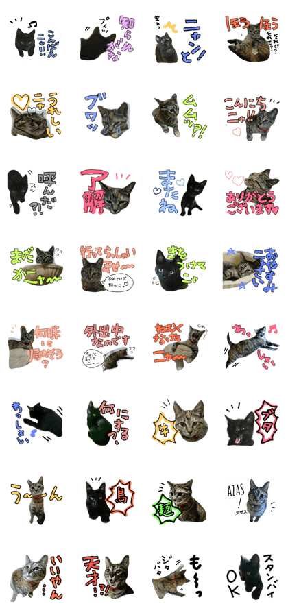 taimiso