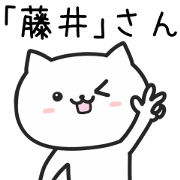 Cat For HUJII