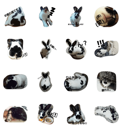 cute rabbit hana