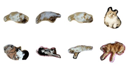 cat3buraza-zu