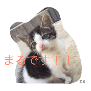 nakanoke no maru