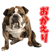 BULLDOG BON'S Sticker