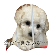 wanwansutanp