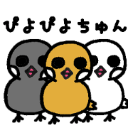 Cinnamon Java sparrow