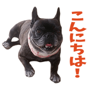 TENKUURIKUKAIBRO Sticker