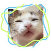 mimikos
