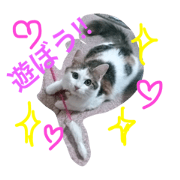 She is Mugi of the Hifumis