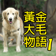 Golden Retriever Story 1