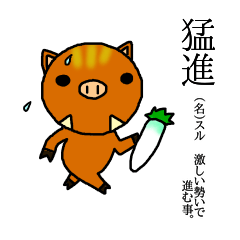 strange boar