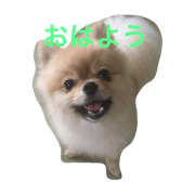 coo&rei happy time