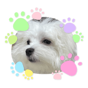 PUKO STANP_20210524200628