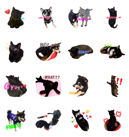 cat&dog love