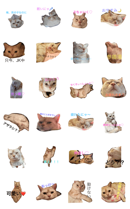 This cat is ugly but cute