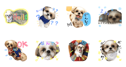 mochikomechan