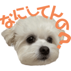 Ayumi_20210524202257