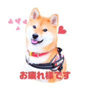 aki_36_20210524210226