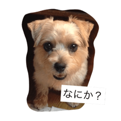 runa's time 2