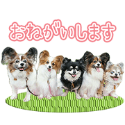 PAPI and CHIWA 'S Sticker