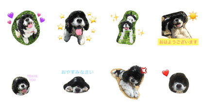 Lybony