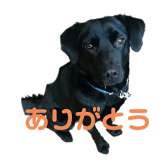 tono_20210524220543