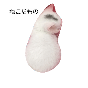 What's cat