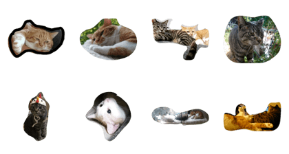 I love catsss