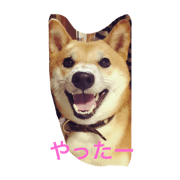 rokuchan