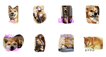 rokuchan
