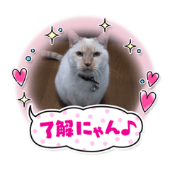 yukari_20210525022933