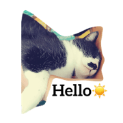Black&WhiteCuteCAT