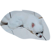 inuwaha