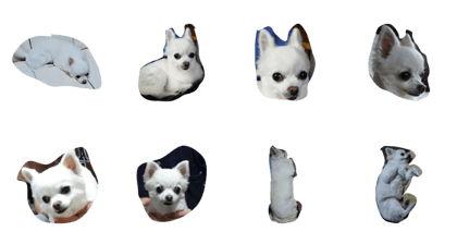 inuwaha