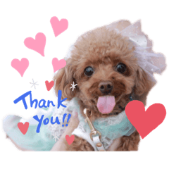 Cocoa_20210524173342