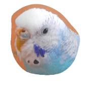 Pichan Stamp