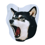 hanacyan ryoukaidesu!