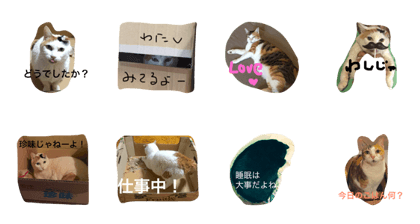 My Cats stamp 1