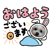 Tomotan_20210525104947