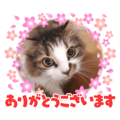 ayumi_20210524204826